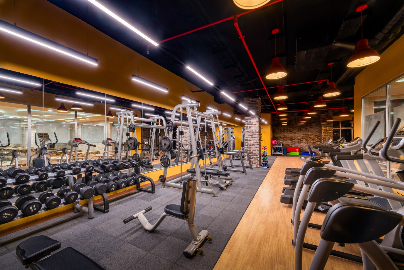 Wellness
